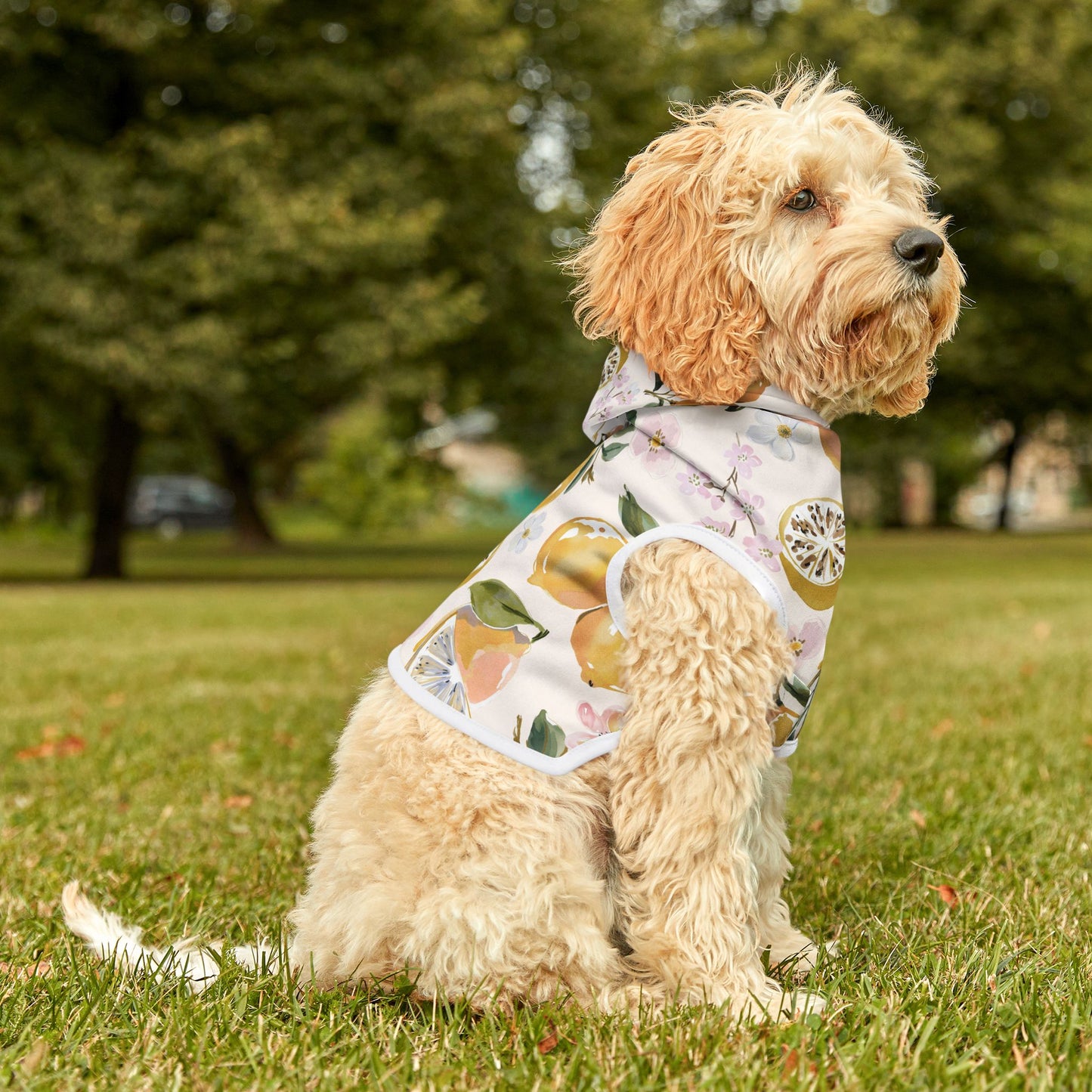 Citrus Blossom Pet Hoodie