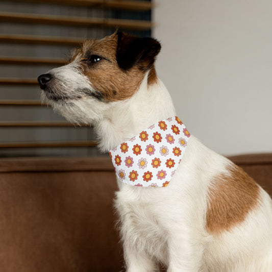 Retro &amp; Chic: Why the "Checkerboard" Print is the #1 Pet Trend This Year