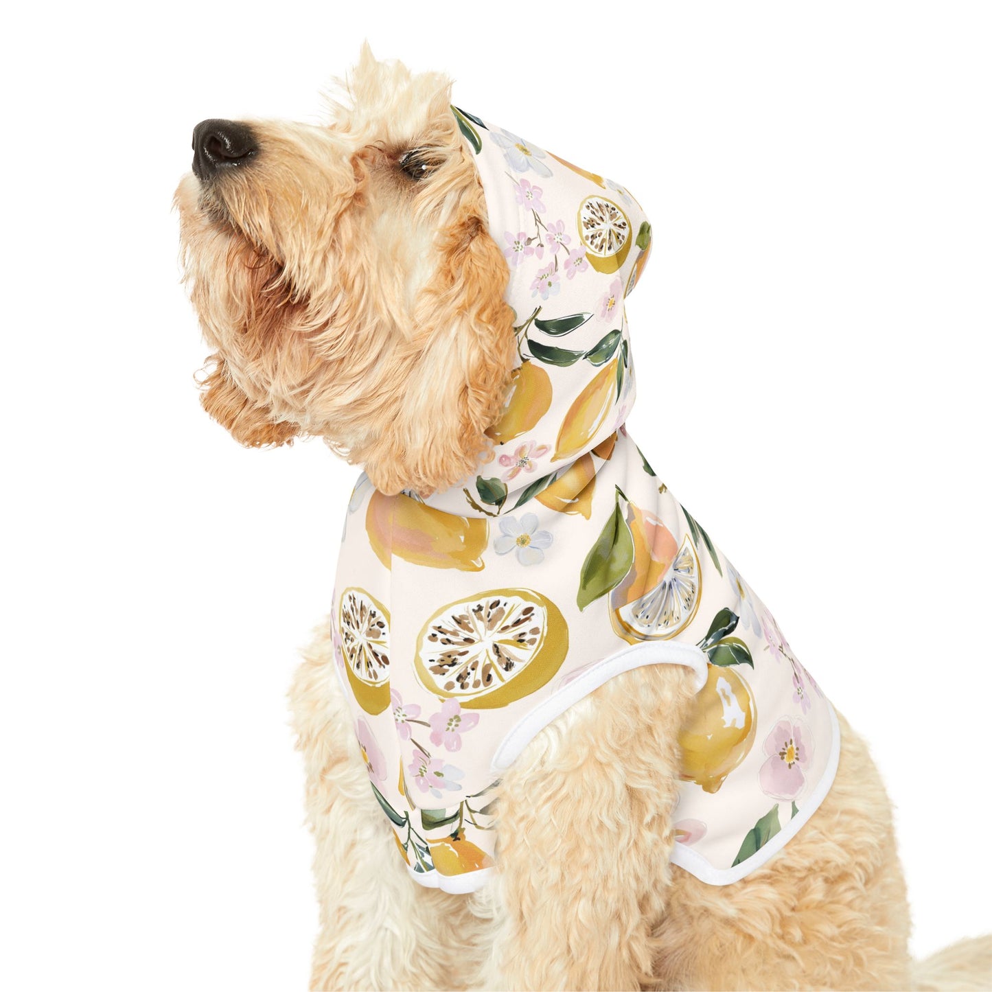 Citrus Blossom Pet Hoodie