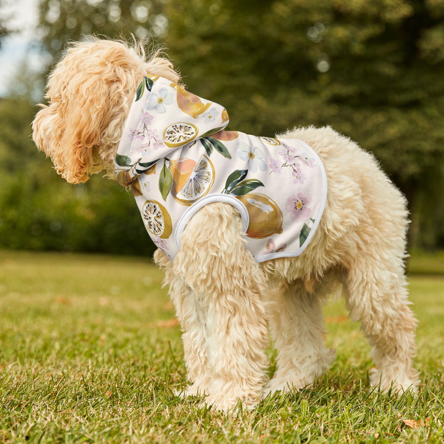 Citrus Blossom Pet Hoodie