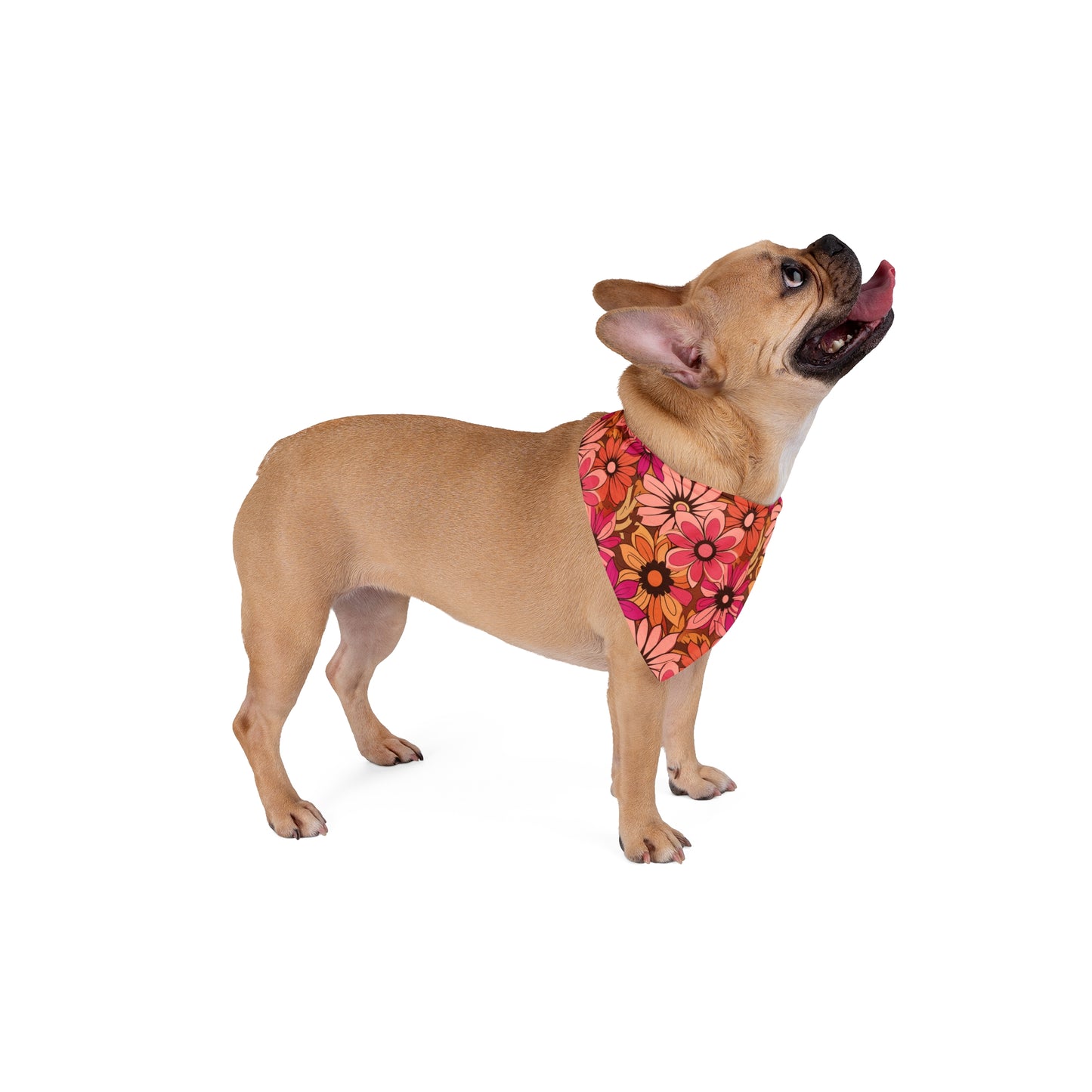 Retro Pink & Orange Daisy Print for Dogs & Cats