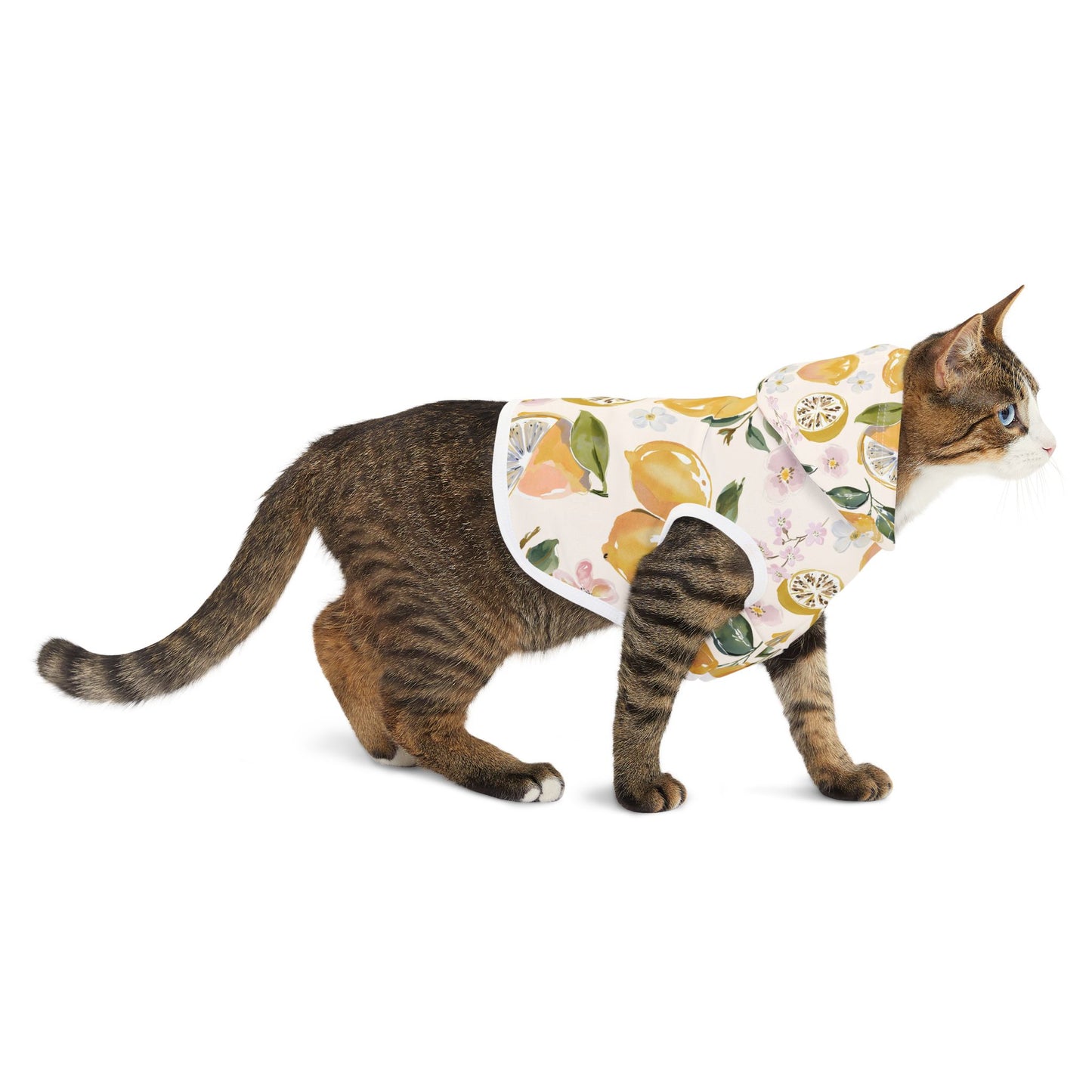 Citrus Blossom Pet Hoodie